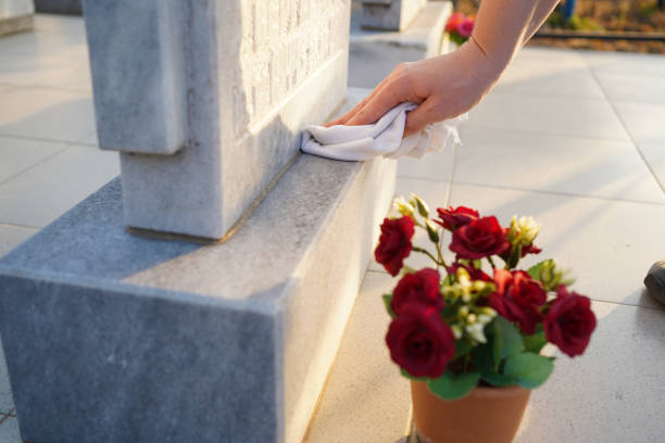 istockphoto 1293124590 612x612 1